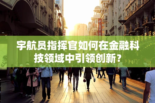 宇航员指挥官如何在金融科技领域中引领创新？