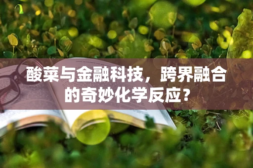 酸菜与金融科技，跨界融合的奇妙化学反应？