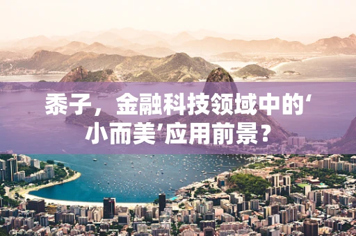 黍子，金融科技领域中的‘小而美’应用前景？