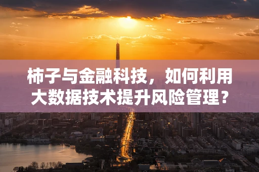 柿子与金融科技，如何利用大数据技术提升风险管理？