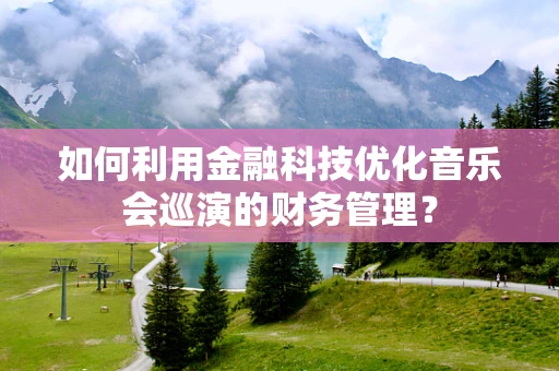 如何利用金融科技优化音乐会巡演的财务管理？