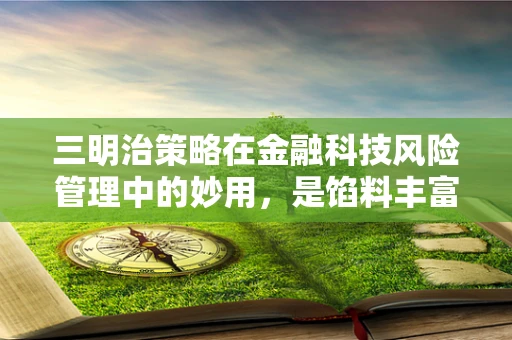 三明治策略在金融科技风险管理中的妙用，是馅料丰富还是夹层过多？