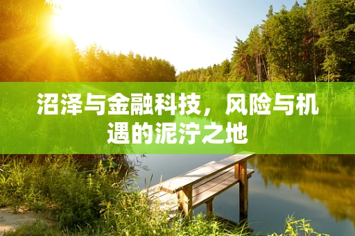 沼泽与金融科技，风险与机遇的泥泞之地