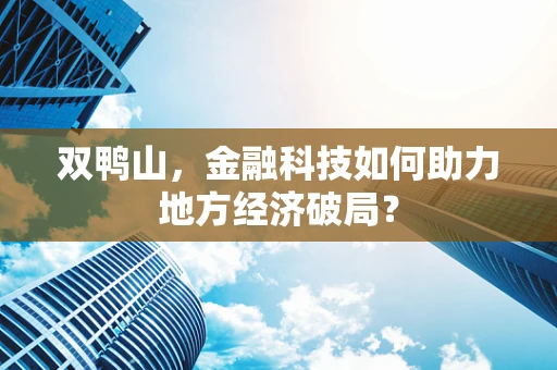 双鸭山，金融科技如何助力地方经济破局？