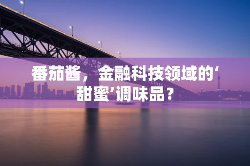 番茄酱，金融科技领域的‘甜蜜’调味品？