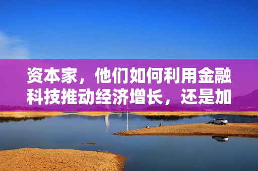 资本家，他们如何利用金融科技推动经济增长，还是加剧了社会不平等？