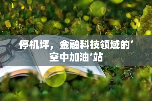 停机坪，金融科技领域的‘空中加油’站