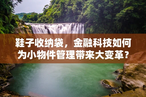 鞋子收纳袋，金融科技如何为小物件管理带来大变革？