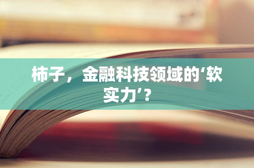 柿子，金融科技领域的‘软实力’？
