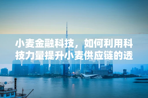 小麦金融科技，如何利用科技力量提升小麦供应链的透明度与效率？