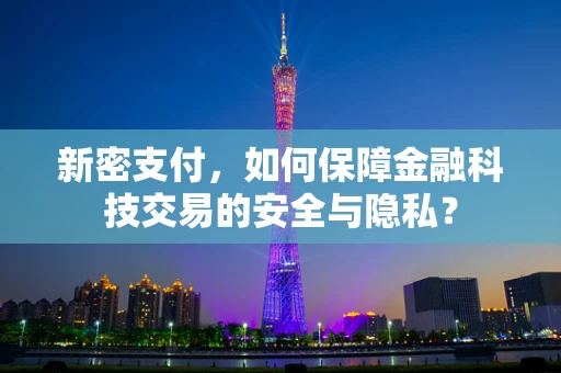 新密支付，如何保障金融科技交易的安全与隐私？