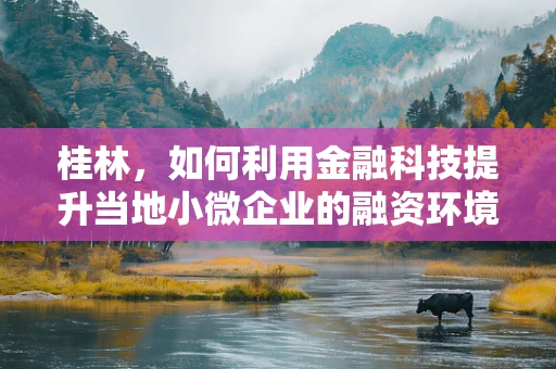 桂林，如何利用金融科技提升当地小微企业的融资环境？
