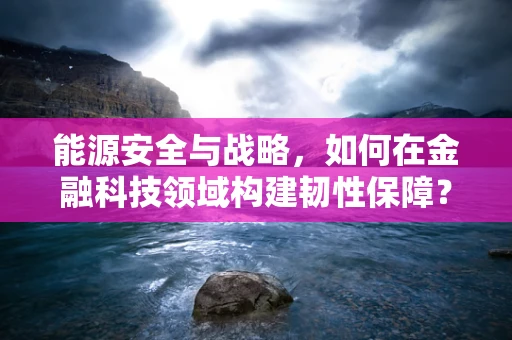 能源安全与战略，如何在金融科技领域构建韧性保障？