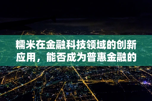 糯米在金融科技领域的创新应用，能否成为普惠金融的新宠？