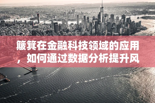 簸箕在金融科技领域的应用，如何通过数据分析提升风险管理？