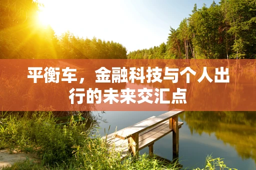 平衡车，金融科技与个人出行的未来交汇点