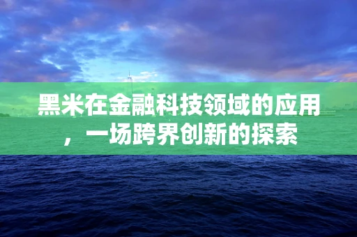 黑米在金融科技领域的应用，一场跨界创新的探索