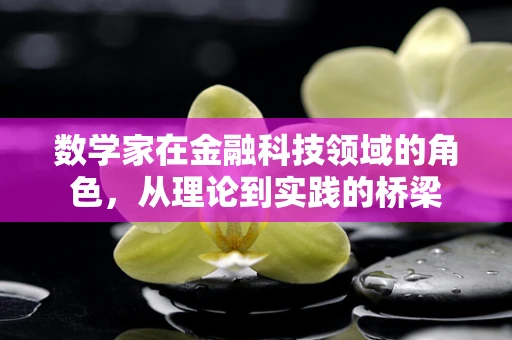 数学家在金融科技领域的角色，从理论到实践的桥梁