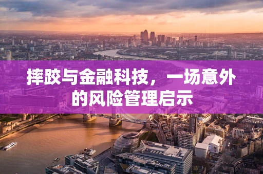 摔跤与金融科技，一场意外的风险管理启示