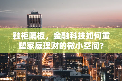 鞋柜隔板，金融科技如何重塑家庭理财的微小空间？