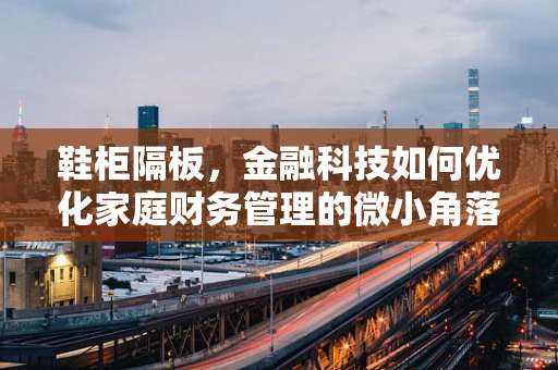 鞋柜隔板，金融科技如何优化家庭财务管理的微小角落？