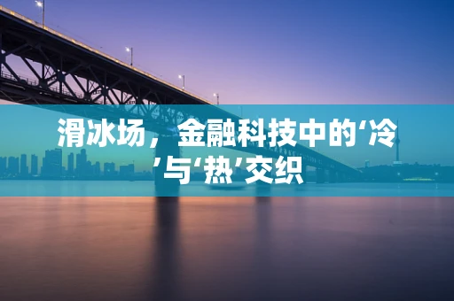 滑冰场，金融科技中的‘冷’与‘热’交织