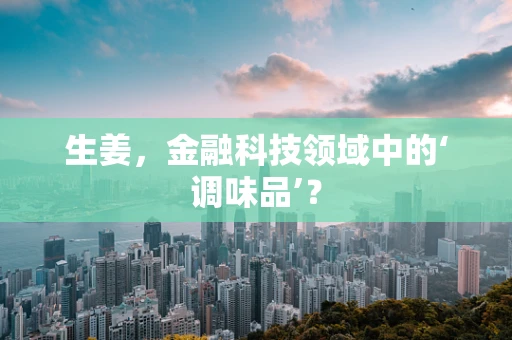 生姜，金融科技领域中的‘调味品’？