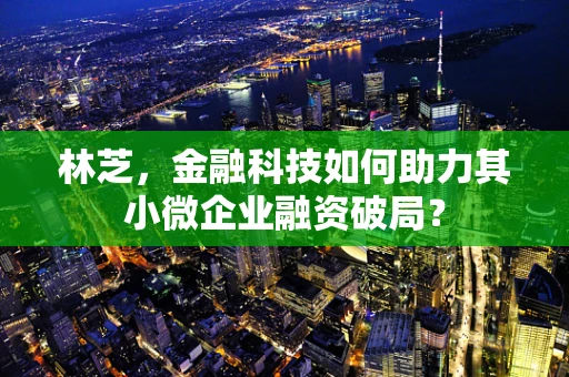 林芝，金融科技如何助力其小微企业融资破局？