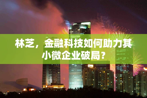 林芝，金融科技如何助力其小微企业破局？