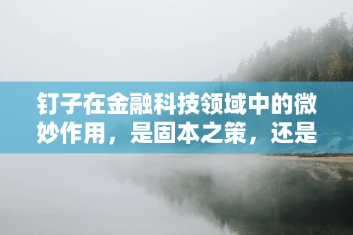 钉子在金融科技领域中的微妙作用，是固本之策，还是创新阻碍？