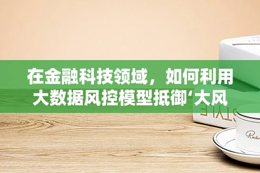 在金融科技领域，如何利用大数据风控模型抵御‘大风’式风险？
