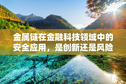 金属链在金融科技领域中的安全应用，是创新还是风险？