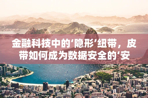 金融科技中的‘隐形’纽带，皮带如何成为数据安全的‘安全带’？