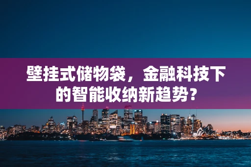 壁挂式储物袋，金融科技下的智能收纳新趋势？