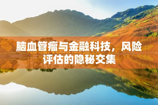 脑血管瘤与金融科技，风险评估的隐秘交集