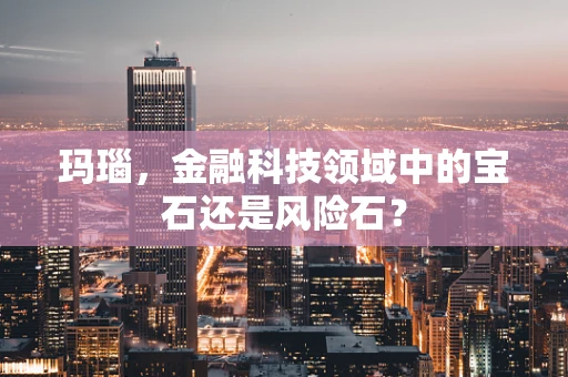 玛瑙，金融科技领域中的宝石还是风险石？