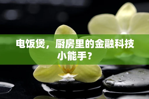 电饭煲，厨房里的金融科技小能手？