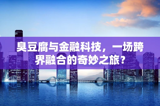 臭豆腐与金融科技，一场跨界融合的奇妙之旅？