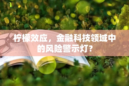 柠檬效应，金融科技领域中的风险警示灯？