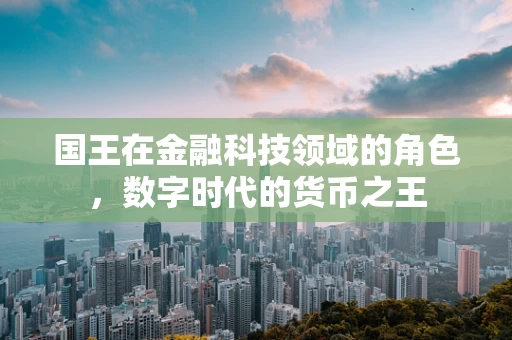 国王在金融科技领域的角色，数字时代的货币之王