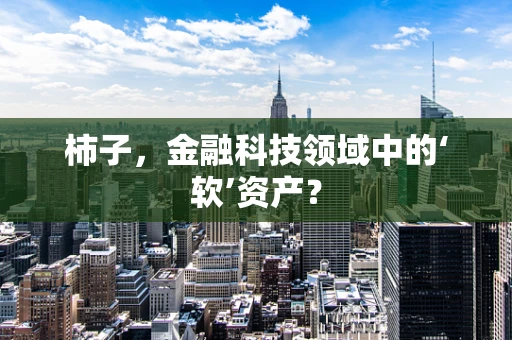 柿子，金融科技领域中的‘软’资产？