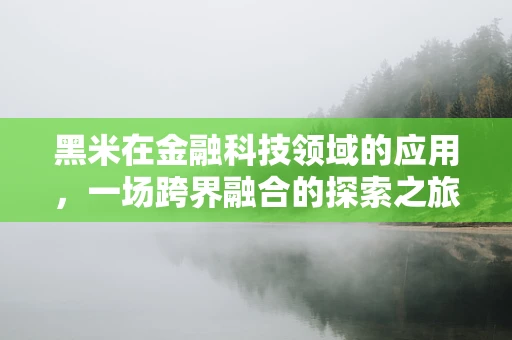 黑米在金融科技领域的应用，一场跨界融合的探索之旅？