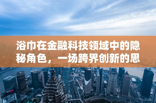 浴巾在金融科技领域中的隐秘角色，一场跨界创新的思考