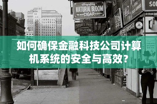 如何确保金融科技公司计算机系统的安全与高效？