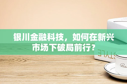 银川金融科技，如何在新兴市场下破局前行？