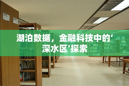 湖泊数据，金融科技中的‘深水区’探索