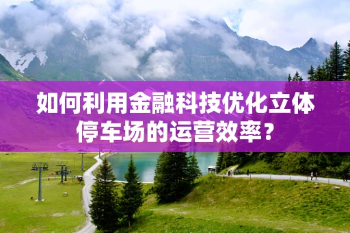 如何利用金融科技优化立体停车场的运营效率？