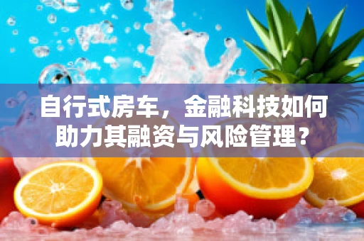 自行式房车，金融科技如何助力其融资与风险管理？