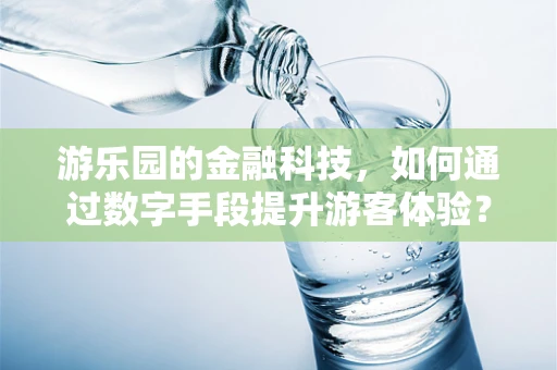 游乐园的金融科技，如何通过数字手段提升游客体验？