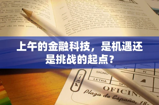 上午的金融科技，是机遇还是挑战的起点？